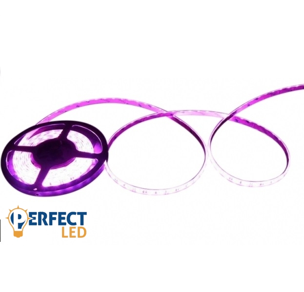 LEDmaster Prémium 60 LED/méteres 12 V-os beltéri lila LED szalag