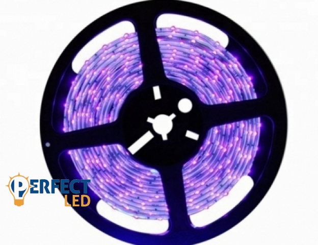 Perfectled Prémium 60 LED/méteres 12 V-os beltéri UV LED szalag 5m / tekercs