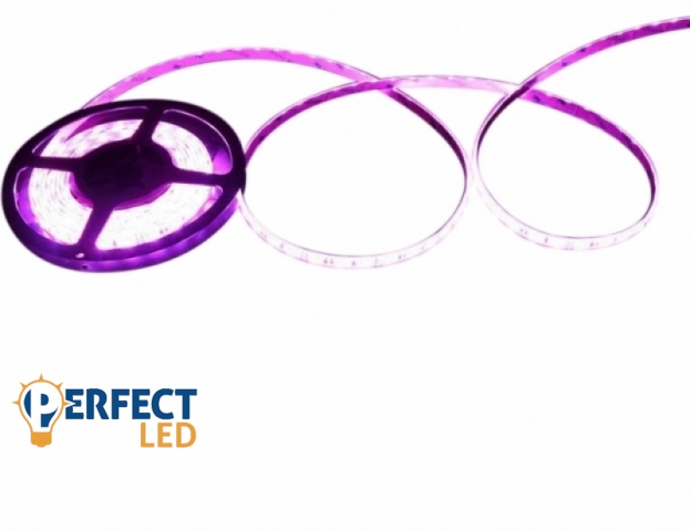Perfectled Prémium 60 LED/méteres 12 V-os beltéri lila LED szalag 5 m/ tekercs
