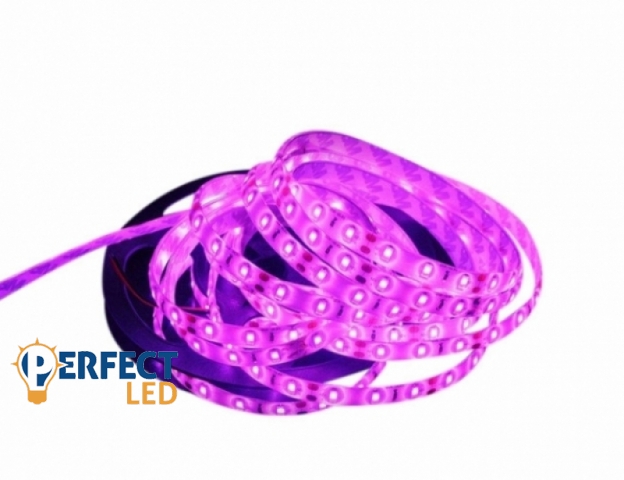 Perfectled Prémium 60 LED/méteres 12 V-os kültéri pink LED szalag 5m/ tekercs