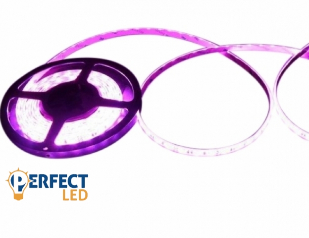 Perfectled Prémium 66 LED/méteres 12 V-os vízálló lila LED szalag 5m/ tekercs